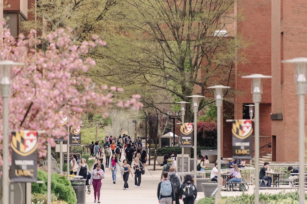 Students walk along a campus pathway lined with blossoming trees and red brick buildings.