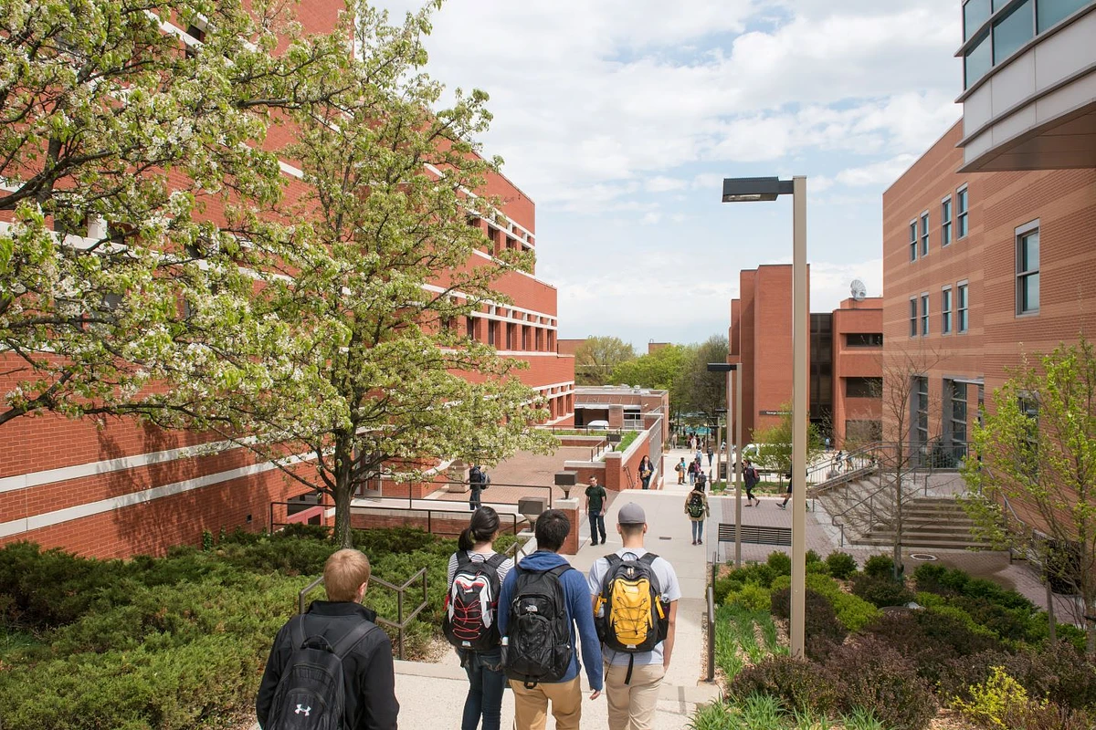 Students walking through campus